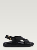 black black