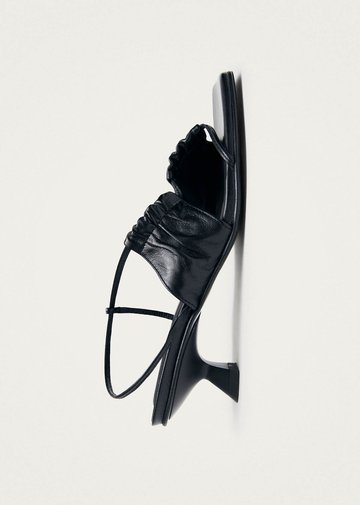 Juniper Black | ALOHAS