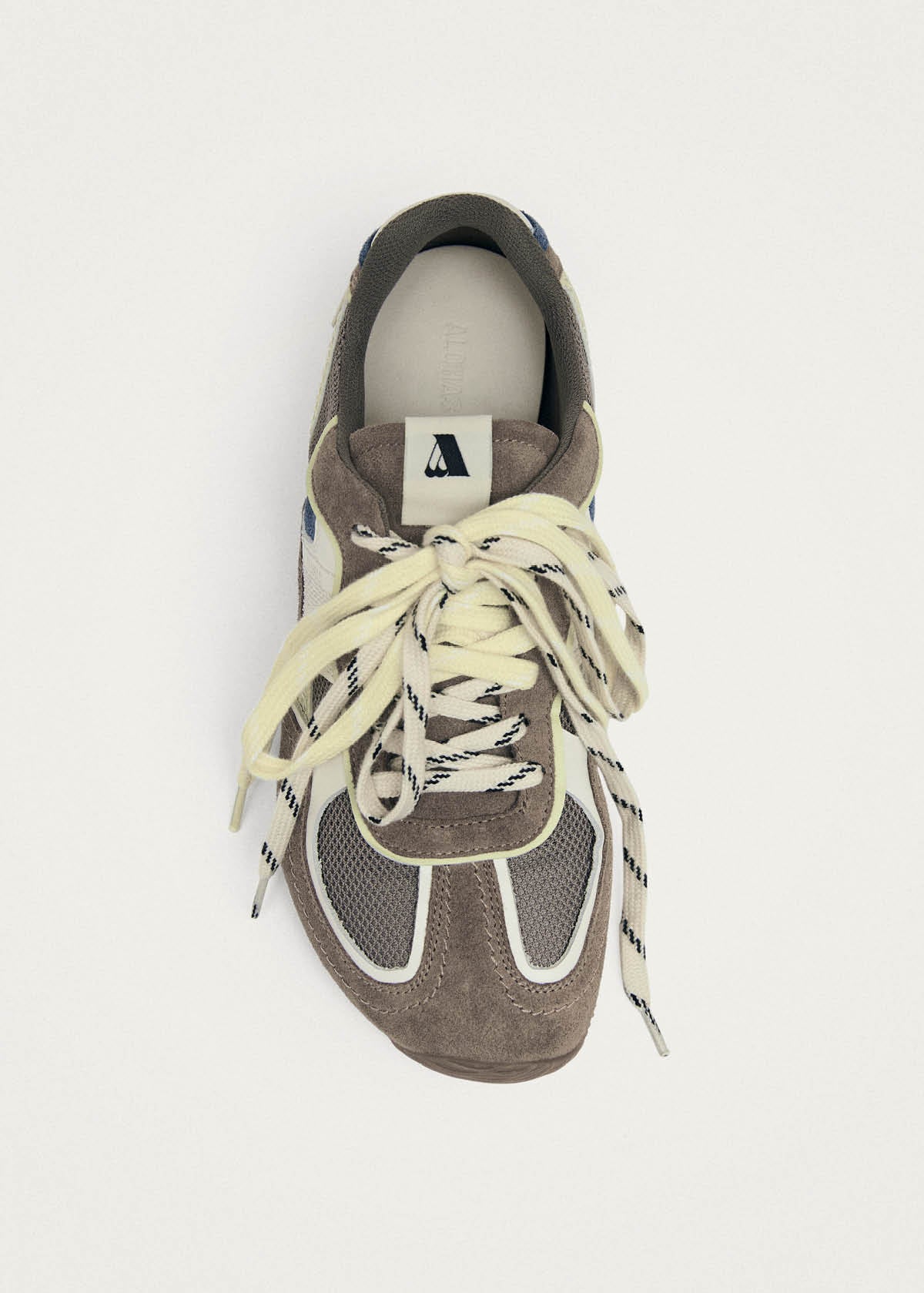 Tb.33 Taupe Leather Sneakers